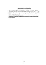 Referāts 'Uzņēmuma mārketinga vides un stratēģijas analīze un darbības plānošana', 38.