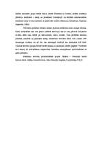 Eseja 'Terorisms', 2.