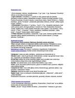 Konspekts 'Renesanse', 1.