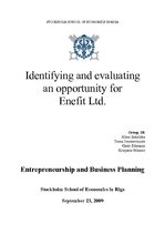 Referāts 'Identifying and Evaluating Opportunity for Enefit Ltd.', 1.