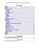 Referāts 'Identifying and Evaluating Opportunity for Enefit Ltd.', 3.