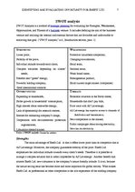 Referāts 'Identifying and Evaluating Opportunity for Enefit Ltd.', 7.