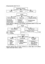 Referāts 'Monetārā un banku ekonomika', 5.