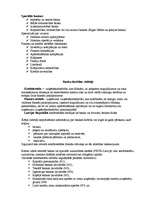 Referāts 'Monetārā un banku ekonomika', 6.