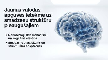 Prezentācija 'Jaunas valodas apguves ietekme uz smadzeņu struktūru pieaugušajiem', 1.