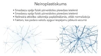 Prezentācija 'Jaunas valodas apguves ietekme uz smadzeņu struktūru pieaugušajiem', 11.