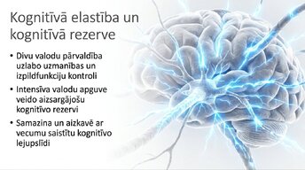 Prezentācija 'Jaunas valodas apguves ietekme uz smadzeņu struktūru pieaugušajiem', 13.