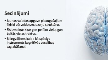 Prezentācija 'Jaunas valodas apguves ietekme uz smadzeņu struktūru pieaugušajiem', 14.