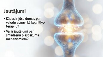 Prezentācija 'Jaunas valodas apguves ietekme uz smadzeņu struktūru pieaugušajiem', 16.