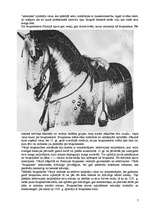 Referāts 'Bruņinieki', 6.