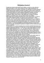 Referāts 'Bruņinieki', 9.