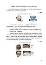 Diplomdarbs 'Individuālo ūdensskaitītāju rādījumu attālinātas nolasīšanas sistēmas izbūves te', 18.