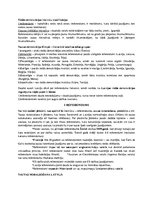 Konspekts 'Tiešā demokrātija', 2.