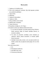 Referāts 'Uzņēmējdarbības pamati', 12.