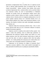 Referāts 'Komercdarbības organizatoriski tiesiskās formas', 5.