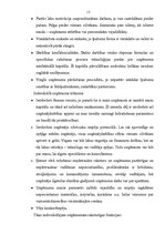 Referāts 'Komercdarbības organizatoriski tiesiskās formas', 12.