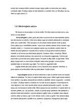 Referāts 'Gaisa kvalitātes noteikšana, izmantojot ķērpjus kā bioindikatorus', 5.