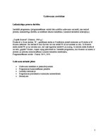 Paraugs 'Ceturtais praktiskais darbs. Operētājsistēmas', 3.