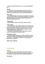 Konspekts 'Pārtikas, ēdienu pagatavošana, sagatavošana, uzskaitījumi', 50.