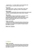 Konspekts 'Pārtikas, ēdienu pagatavošana, sagatavošana, uzskaitījumi', 60.