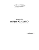 Biznesa plāns 'Biznesa plāns - peldbaseins', 1.