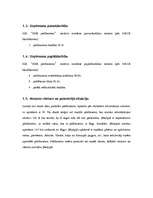 Biznesa plāns 'Biznesa plāns - peldbaseins', 5.