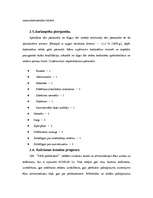 Biznesa plāns 'Biznesa plāns - peldbaseins', 11.