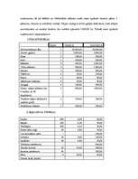 Biznesa plāns 'Biznesa plāns - peldbaseins', 12.