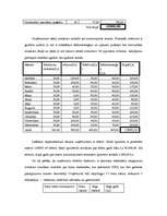 Biznesa plāns 'Biznesa plāns - peldbaseins', 13.