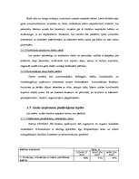 Biznesa plāns 'Biznesa plāns - peldbaseins', 20.