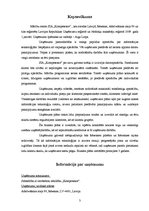 Biznesa plāns 'Datorapmācības kursi. Biznesa plāns', 3.