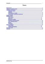 Referāts 'Biznesa plāns', 1.