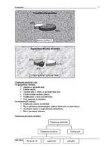Referāts 'Biznesa plāns', 4.