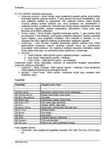 Referāts 'Biznesa plāns', 5.