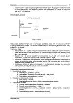 Referāts 'Biznesa plāns', 6.