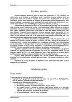 Referāts 'Biznesa plāns', 7.