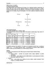 Referāts 'Biznesa plāns', 10.