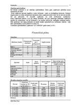 Referāts 'Biznesa plāns', 12.