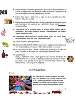 Referāts 'Indija', 33.