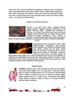 Referāts 'Indija', 34.