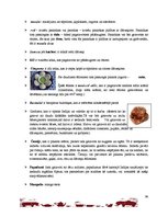 Referāts 'Indija', 38.
