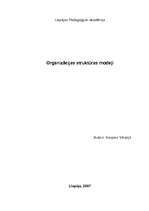 Referāts 'Organizācijas struktūras modeļi', 1.