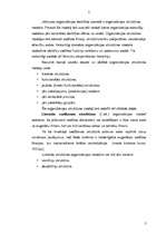 Referāts 'Organizācijas struktūras modeļi', 2.