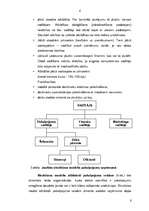 Referāts 'Organizācijas struktūras modeļi', 6.