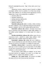 Referāts 'Organizācijas struktūras modeļi', 10.