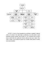 Paraugs 'Organizācijas struktūras', 1.