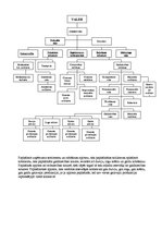 Paraugs 'Organizācijas struktūras', 2.