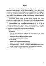 Referāts 'Sektantisms', 3.