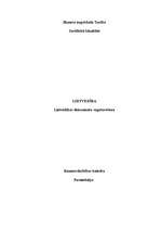 Paraugs 'Lietvedības dokumenti', 1.