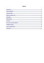 Biznesa plāns 'Biznesa plāns', 2.